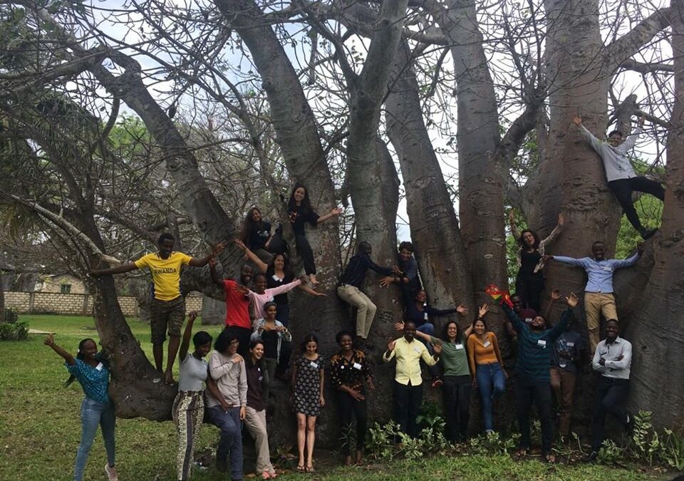 The Global South Bats Experience￼