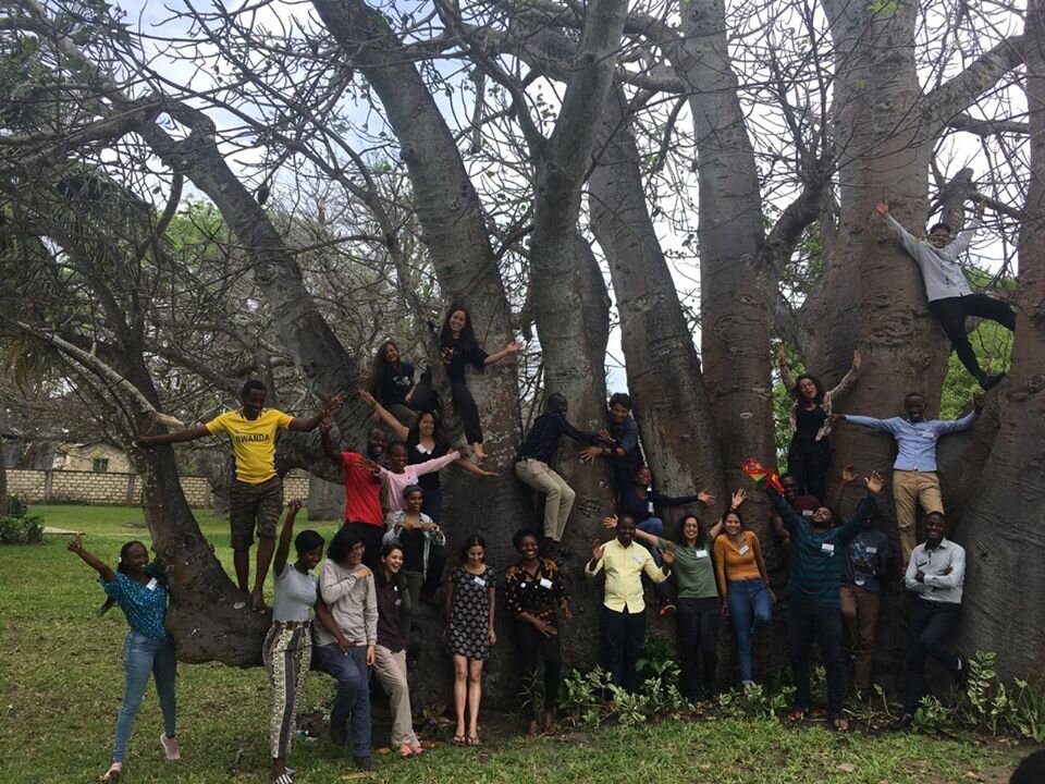 The Global South Bats Experience