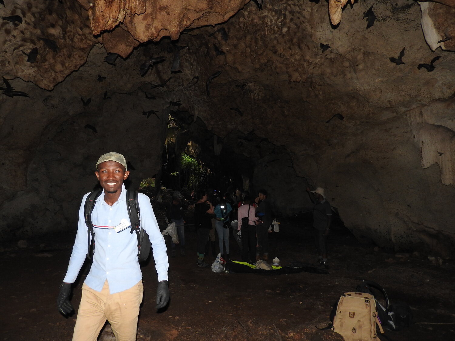 The Global South Bats Experience