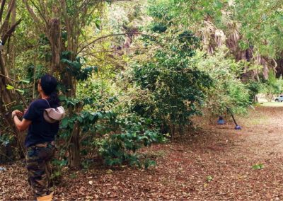 Facing bat diversity in Kenya