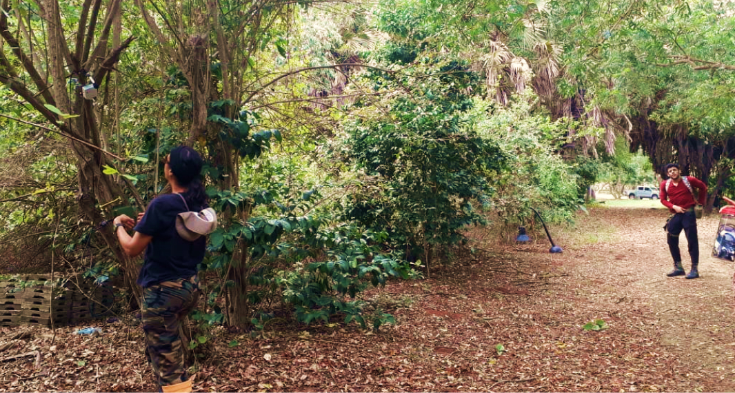 Facing bat diversity in Kenya