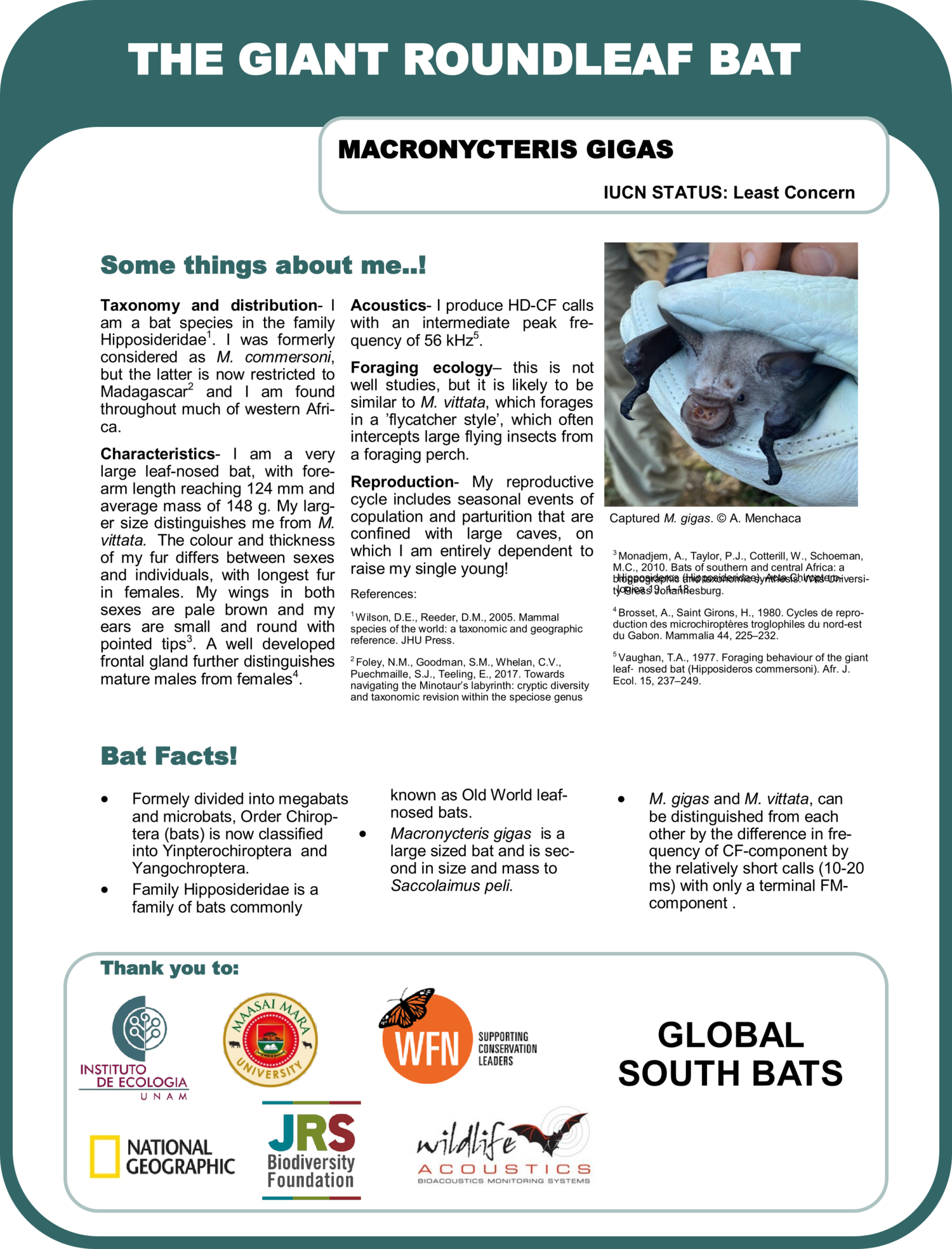 Facing bat diversity in Kenya: monitoring the activity of insectivorous bats through acoustic surveys