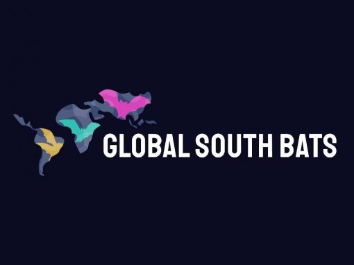 Global South Bats is back – and with a new face
