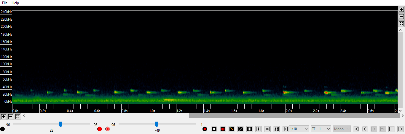 Facing bat diversity in Kenya: monitoring the activity of insectivorous bats through acoustic surveys