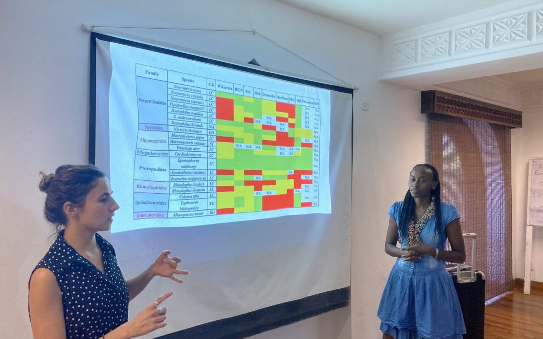 Knowledge Gaps on Bats in Open Access Platforms￼